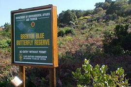 Brenton Blue Butterfly Reserve