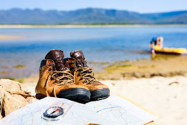 The Harkerville Hike