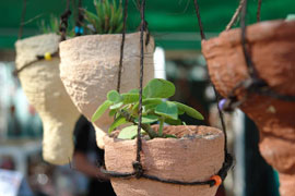 Outeniqua Farmer�s Market