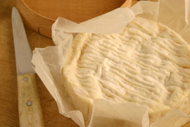 Visit the Trumilk Dairy