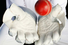 Play Action Cricket in Edenvale