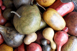 Shop at the Bryanston Organic Market