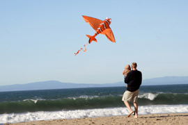 Fly a Kite in Amanzimtoti