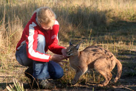 Emdoneni Cat Rehabilitation Centre