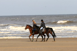 Horse Riding on Umdloti Beach