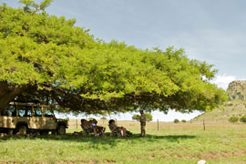 Isandlwana Battlefields Tour