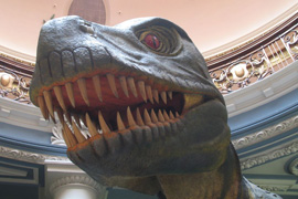 Visit Durban Natural Science Museum