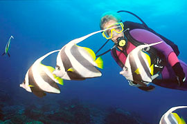 Scuba Diving Courses at Thonga