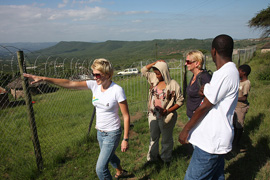 Visit the Zulufadder Project