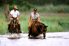 Horse Riding with Horizon Adventures