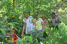 Magoebaskloof Getaway Hiking Trail