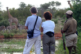 Game Walks in the Greater Kruger Park