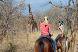 Namela Horse Trails