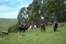 Horse Riding in Dullstroom