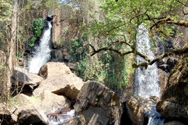 Self-drive the Sabie River Route