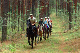 Relax on a Rustic Ride