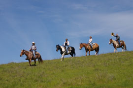 Giddy-up on a Getaway