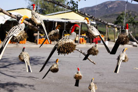 Roadside Curio sellers near God's Window