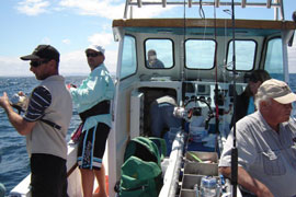Awesome Charters