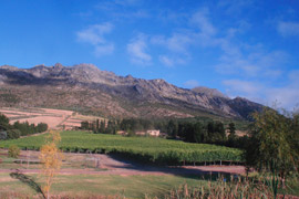 Badgerberg Estate