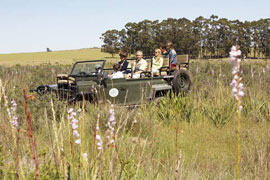 Game Drive at Bartholomeus Klip
