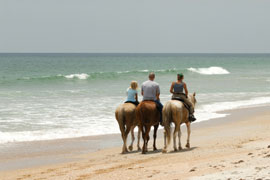 Horse Riding on the Beach at Noordhoek
