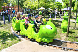 Bugz Family Playpark