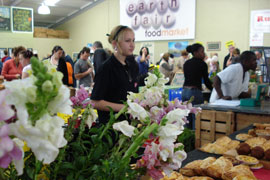 Earth Fair Market