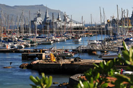 Explore Simons Town