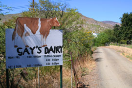 'Cheese Tour' at Gay's Dairy