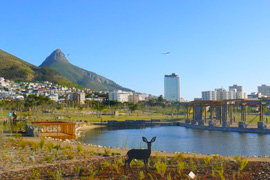 Green Point Urban Park