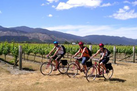 Cycle through Greyton
