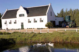 Groote Post Wine Tastings