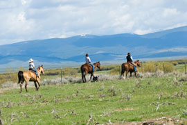Guided Horse Trails in Stanford