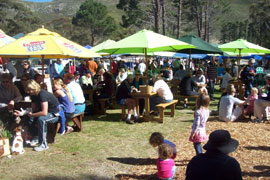 The Hermanus Country Market