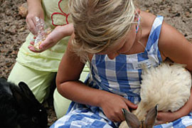 Higgeldy Piggeldy Farmyard