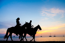 Horse Trail Safaris