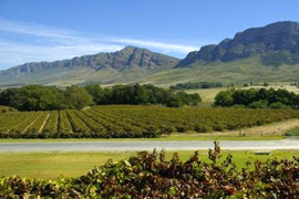Wine Tasting at The House of Krone