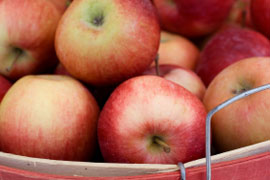 Fresh fruit from Houw Hoek Farm Stall