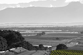 Wine Tasting at Kloovenburg Wine Estate