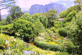 Relax at the Liesbeek River