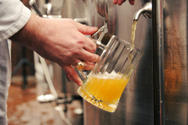 Visit a Microbrewery