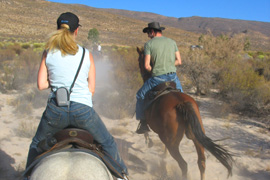Horse Riding at Mount Ceder