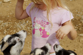 Happy Gardener Play Park at Stodels
