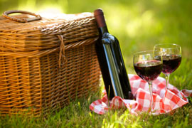 Picnic at Hamilton Russel Vineyards