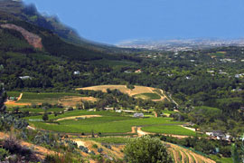 Hike the Vlakkenberg Mountain