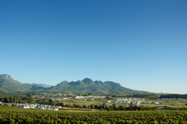 Learn about Wines on a Wine Walk