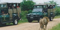 Themba Day Tours & Safaris