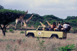 Cruiselite Tours & Safaris