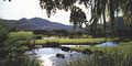 South African Golf Tours